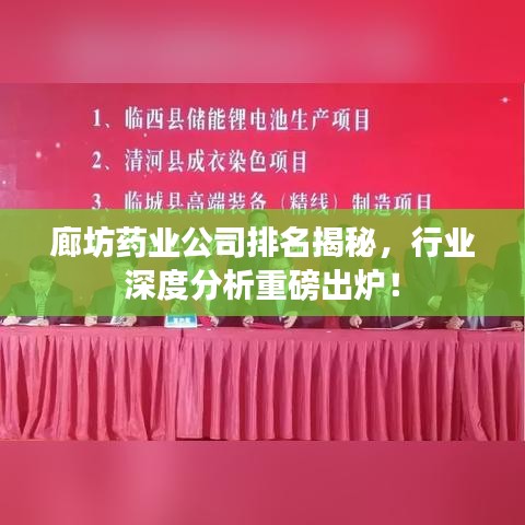 廊坊药业公司排名揭秘，行业深度分析重磅出炉！