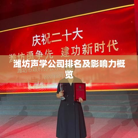 潍坊声学公司排名及影响力概览