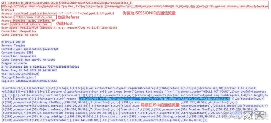 网络安全顾问眼中的中天系统官方下载与彩虹小马激活码，创造性方案解析移动版_v6.943及其网络威胁防御机制