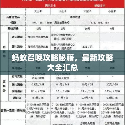 蚂蚁召唤攻略秘籍，最新攻略大全汇总