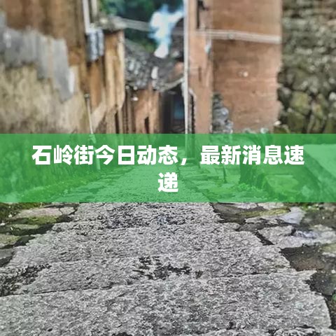 石岭街今日动态，最新消息速递