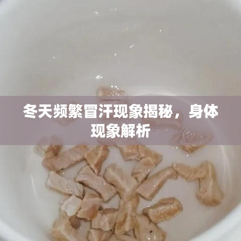 冬天频繁冒汗现象揭秘，身体现象解析