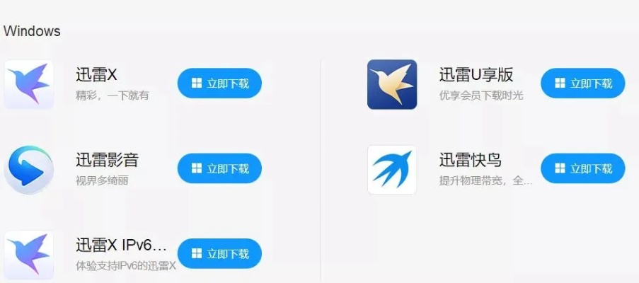 最好版本迅雷，替代付费软件的理想选择