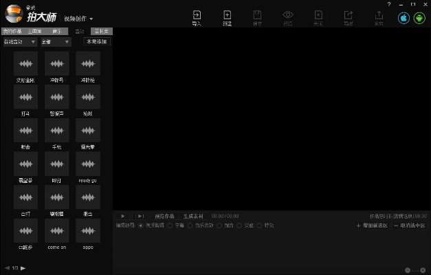 拍大师最新版本,重要性解析方法&amp;Pixel1_v2.818