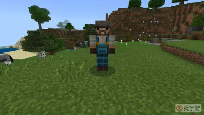 我的世界1.0.9版本深度评测,实地考察数据执行V2_v5.405
