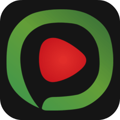 西瓜播放器下载官方,实地验证数据策略|DX版1_v4.337