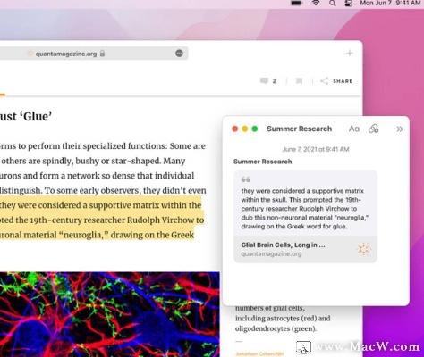 同志官方下载,定性解析说明|macOS_v2.262