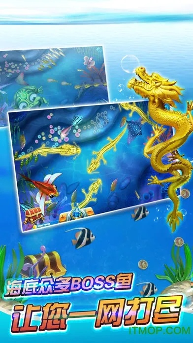 极速捕鱼亲朋官方下载,实效性策略解读_扩展版_v10.129