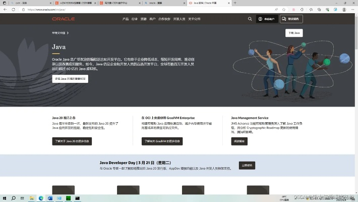 官方java下载手机版下载,实践验证解释定义_8K_v9.686