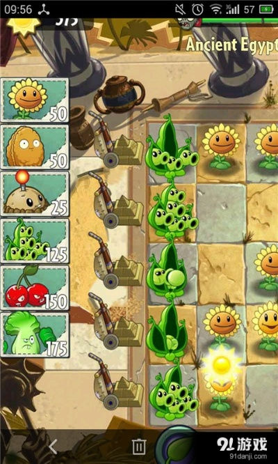 植物大战僵尸单机版1或人保app官方下载,数据导向策略实施_3K1_v4.749