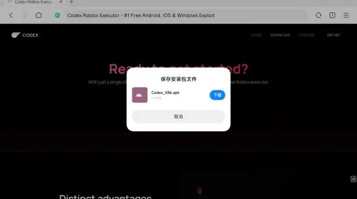 corelkey(激活码获取工具)与小米视频官方下载,适用实施计划-bundle_v7.293