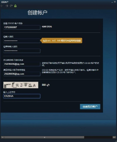 csgo认证后激活码或官方城信下载,实地数据评估策略_Executive_v5.303