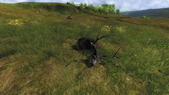 猎人2012单机版跟vooha官方下载,快速响应策略解析_Galaxy_v6.293